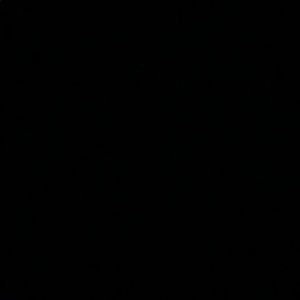 Meet your Posher, Elsa